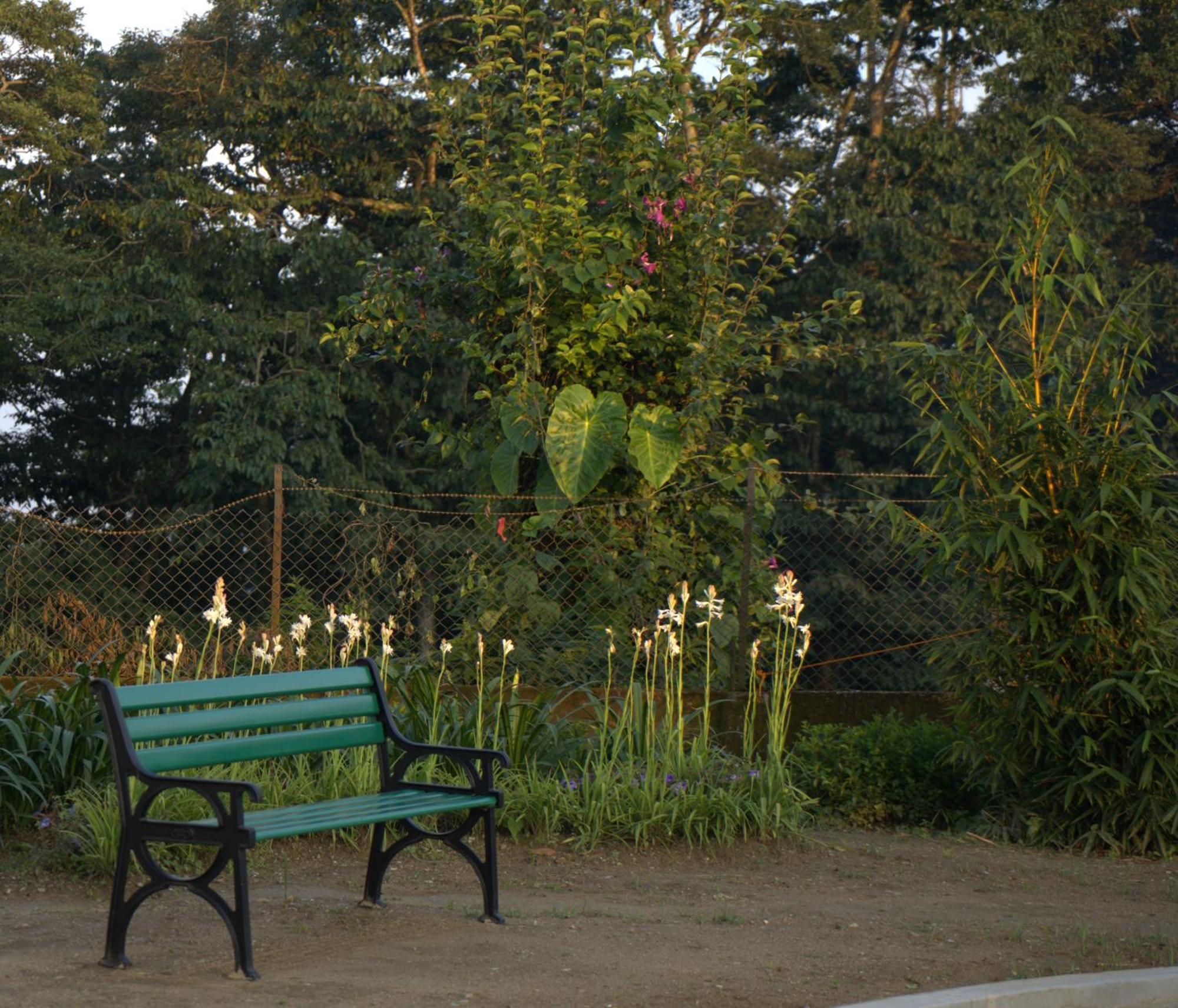 Niharika, The Old Place Kalimpong Buitenkant foto