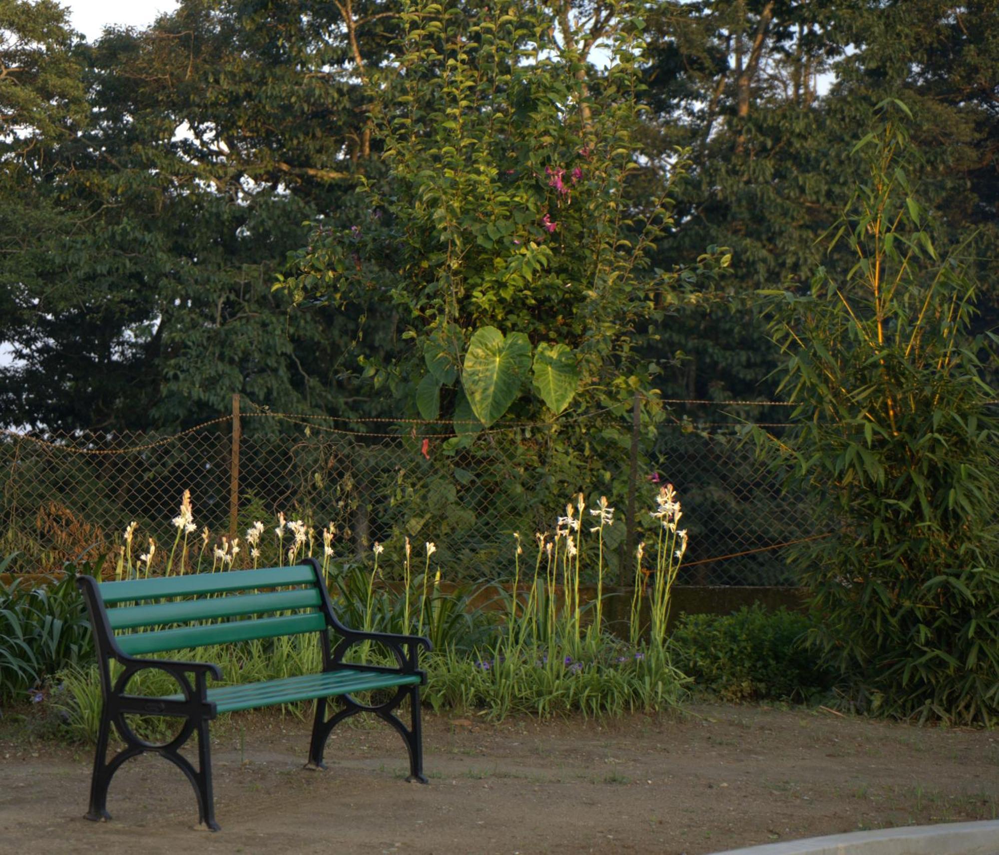 Niharika, The Old Place Villa Kalimpong Buitenkant foto